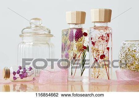 Stock Image - Herbarium. Fotosearch