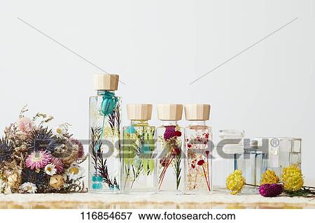 Stock Photo - Herbarium. Fotosearch