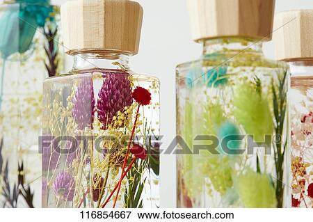 Herbarium View Large Photo Image Stock Photo - Herbarium. Fotosearch