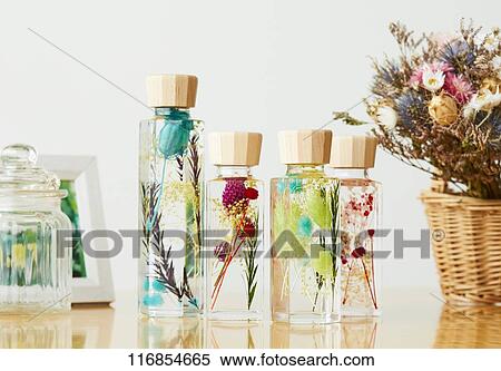 Herbarium View Large Photo Image Stock Photography - Herbarium. Fotosearch