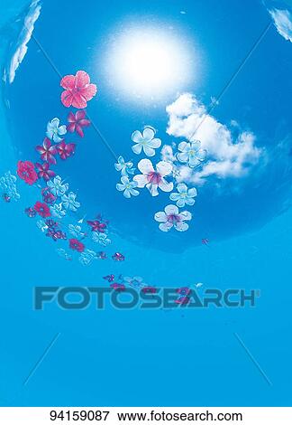 Stock Photo - Hibiscus. Fotosearch