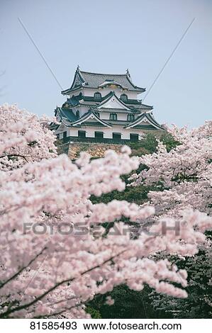 Stock Image - Hikone Castle. Fotosearch