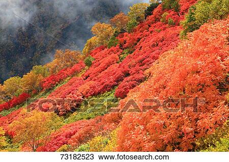 Stock Image - Hokkaido, Japan. Fotosearch