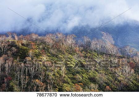 Stock Image - Hokkaido, Japan. Fotosearch