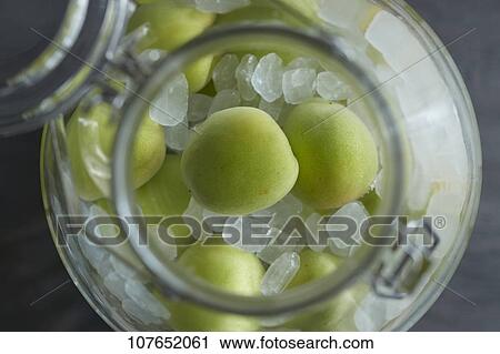 Japanese ume plums View Large Photo Image Stock Image - Japanese ume plums. Fotosearch