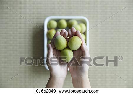 Japanese ume plums View Large Photo Image Stock Photo - Japanese ume plums. Fotosearch