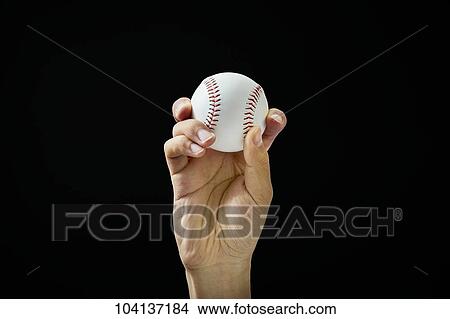 Male hand holding baseball ball View Large Photo Image Picture - Male hand holding baseball ball. Fotosearch