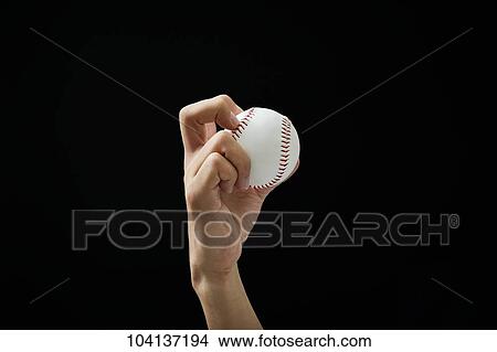 Male hand holding baseball ball View Large Photo Image Picture - Male hand holding baseball ball. Fotosearch