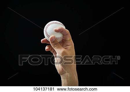 Male hand holding baseball ball View Large Photo Image Stock Image - Male hand holding baseball ball. Fotosearch