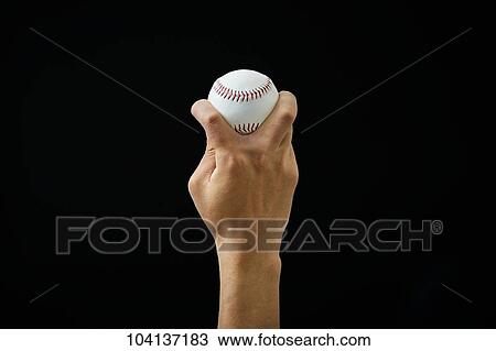 Male hand holding baseball ball View Large Photo Image Stock Image - Male hand holding baseball ball. Fotosearch