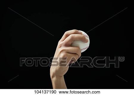 Male hand holding baseball ball View Large Photo Image Stock Image - Male hand holding baseball ball. Fotosearch