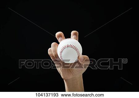 Male hand holding baseball ball View Large Photo Image Stock Image - Male hand holding baseball ball. Fotosearch