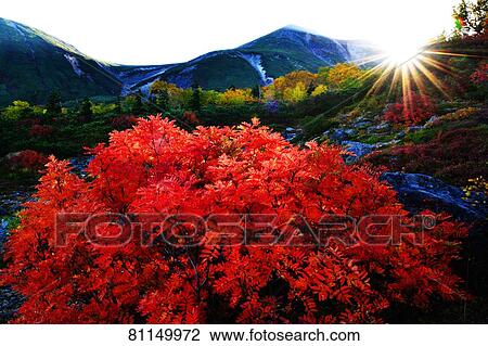 Nagano Prefecture, Japan View Large Photo Image Stock Image - Nagano Prefecture, Japan. Fotosearch