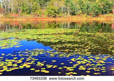 Nagano Prefecture, Japan View Large Photo Image Stock Photo - Nagano Prefecture, Japan. Fotosearch
