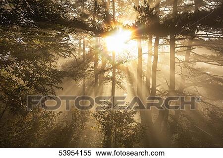 Stock Photography - Nagano Prefecture, Japan. Fotosearch