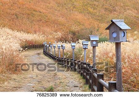 Stock Photo - Nara Prefecture, Japan. Fotosearch