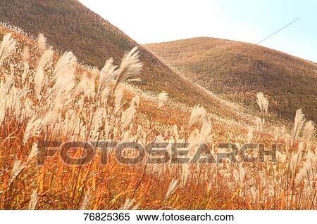 Nara Prefecture, Japan View Large Photo Image Stock Photography - Nara Prefecture, Japan. Fotosearch