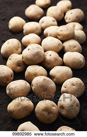 Potatoes View Large Photo Image Stock Photography - Potatoes. Fotosearch