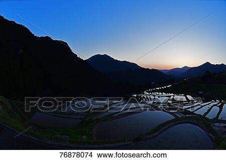 Rice paddies View Large Photo Image Picture - Rice paddies. Fotosearch