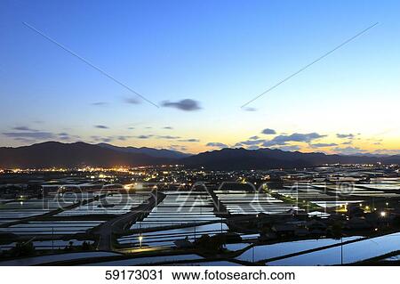 Stock Image - Rice paddy. Fotosearch