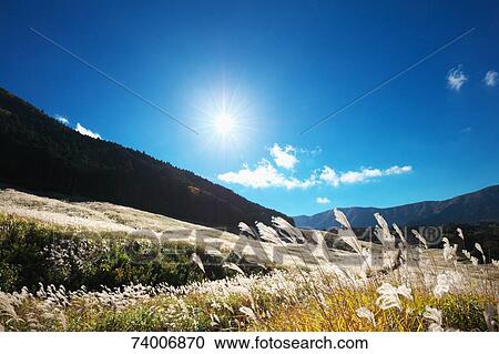 Sengokuhara Plateau, Kanagawa Prefecture, Japan View Large Photo Image Stock Image - Sengokuhara Plateau, Kanagawa Prefecture, Japan. Fotosearch