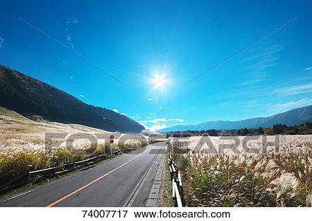 Stock Photo - Sengokuhara Plateau, Kanagawa Prefecture, Japan. Fotosearch