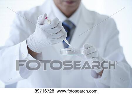Stock Photo - Senior Japanese researcher in the lab. Fotosearch