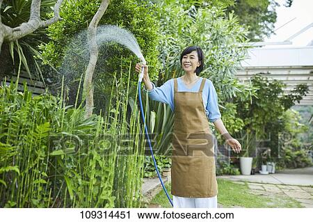 Senior Japanese woman gardening View Large Photo Image Stock Image - Senior Japanese woman gardening. Fotosearch