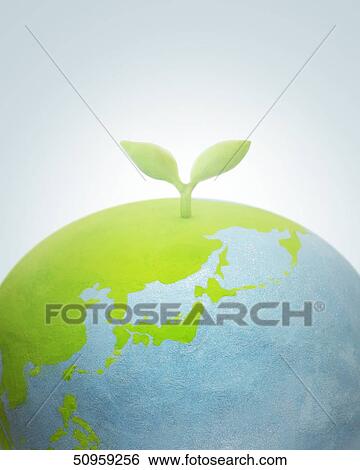 Sprouting leaf View Large Photo Image Stock Photograph - Sprouting leaf. Fotosearch