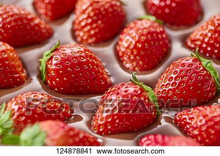 Strawberries on chocolate View Large Photo Image Stock Image - Strawberries on chocolate. Fotosearch