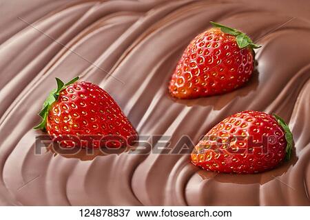Strawberries on chocolate View Large Photo Image Stock Photo - Strawberries on chocolate. Fotosearch