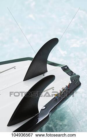 Stock Photo - Surfing. Fotosearch