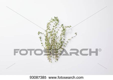 Stock Photography - Time. Fotosearch