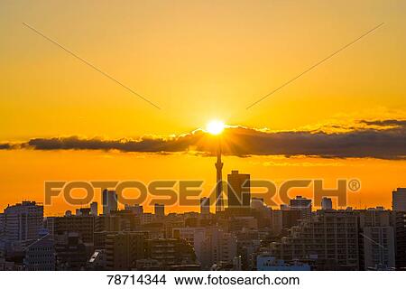 Picture - Tokyo cityscape. Fotosearch