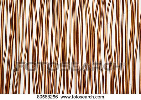 Stock Photograph - Tree branches. Fotosearch