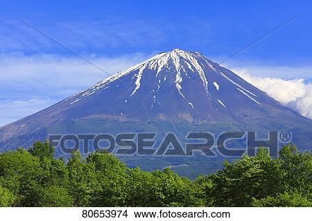 Picture - View of Mount Fuji. Fotosearch