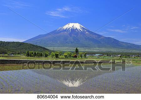 View of Mount Fuji View Large Photo Image Picture - View of Mount Fuji. Fotosearch