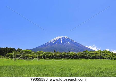View of Mount Fuji View Large Photo Image Stock Image - View of Mount Fuji. Fotosearch