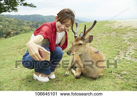 Young Japanese with deer at Nara Park View Large Photo Image Stock Image - Young Japanese with deer at Nara Park. Fotosearch