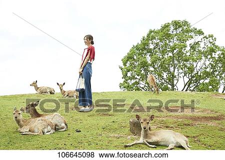 Young Japanese with deer at Nara Park View Large Photo Image Stock Photo - Young Japanese with deer at Nara Park. Fotosearch