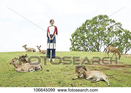 Young Japanese with deer at Nara Park View Large Photo Image Stock Photo - Young Japanese with deer at Nara Park. Fotosearch