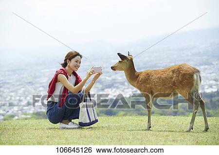 Young Japanese with deer at Nara Park View Large Photo Image Stock Photograph - Young Japanese with deer at Nara Park. Fotosearch