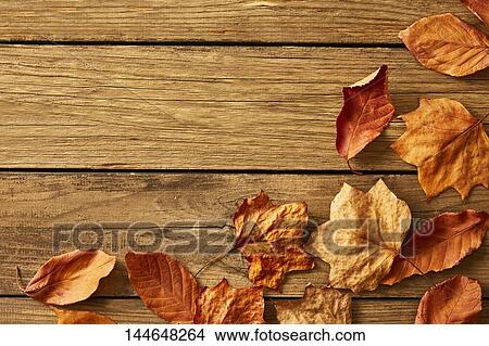 Autumn leaves on wooden table View Large Photo Image Picture - Autumn leaves on wooden table. Fotosearch