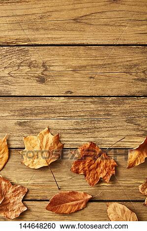 Autumn leaves on wooden table View Large Photo Image Stock Image - Autumn leaves on wooden table. Fotosearch