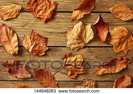 Autumn leaves on wooden table View Large Photo Image Stock Image - Autumn leaves on wooden table. Fotosearch