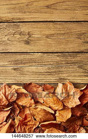 Stock Photo - Autumn leaves on wooden table. Fotosearch