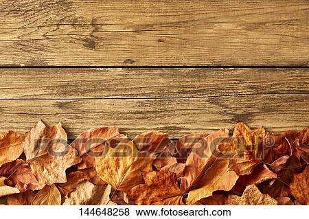 Autumn leaves on wooden table View Large Photo Image Stock Photo - Autumn leaves on wooden table. Fotosearch