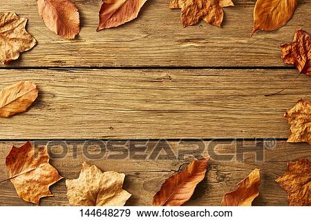 Stock Photo - Autumn leaves on wooden table. Fotosearch