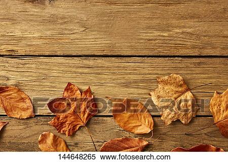 Autumn leaves on wooden table View Large Photo Image Stock Photography - Autumn leaves on wooden table. Fotosearch