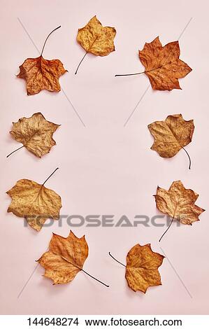 Autumn leaves View Large Photo Image Picture - Autumn leaves. Fotosearch